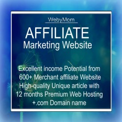 Fully Automated Money making Affiliate Website
